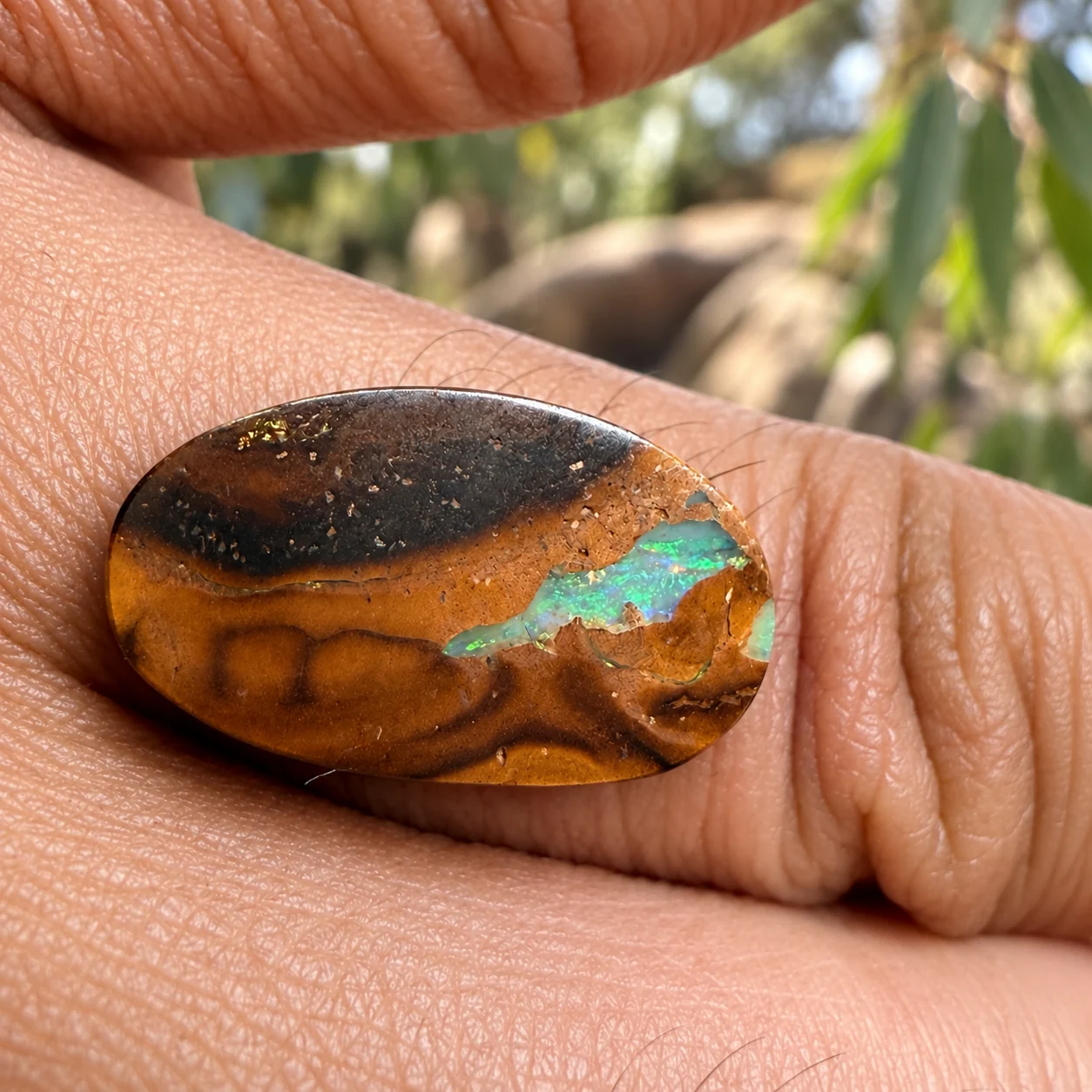 Queensland boulder opal