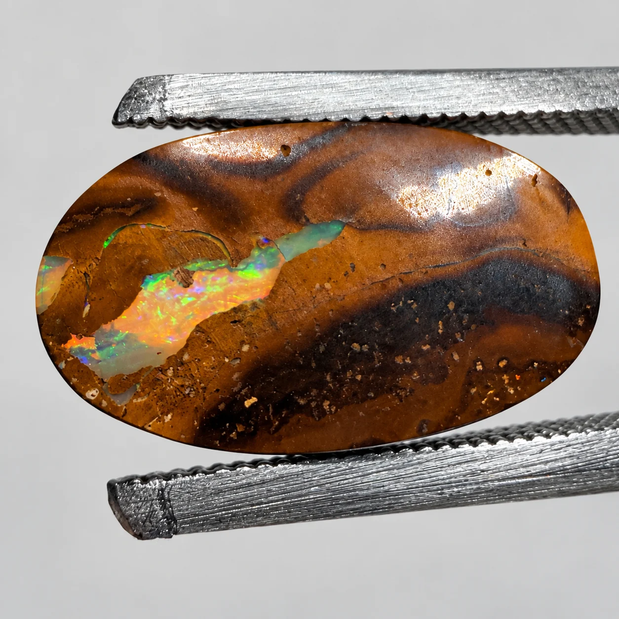 Queensland boulder opal